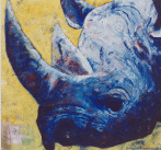 Rhino